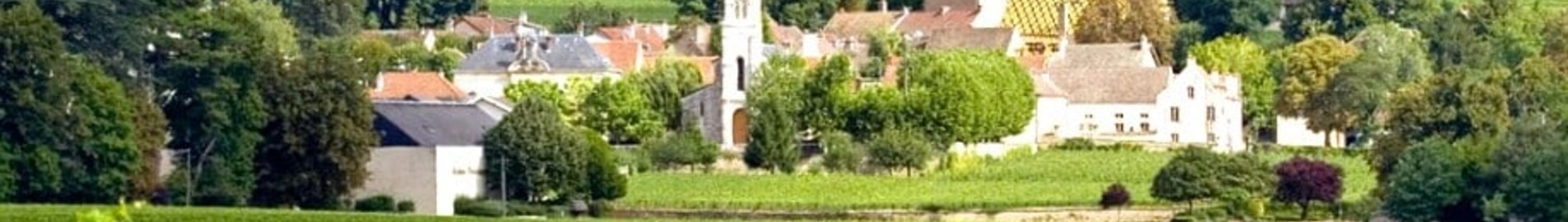 Burgundy Helicopter Charter Flight