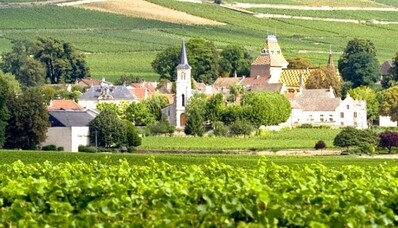 Burgundy Helicopter Charter Flight