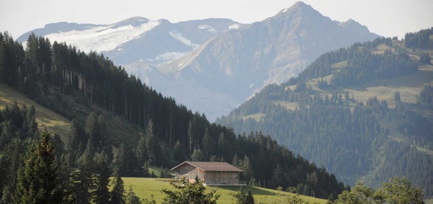 **Texte original :**  
Une maison solitaire se trouve sur une colline verdoyante, entourée d'arbres, avec d'imposantes montagnes en arrière-plan : une évasion sereine aussi exclusive qu'un emplacement de jet privé Paris - Gstaad.

**Texte remplacé avec titre de la page en balise alternative (sans avion) :**

*évasion sereine*

Alternative Balise : **Évasion sereine sur une colline verdoyante**

---

**Texte remplacé avec titre de la page en balise alternative (avec avion) :**

*location jet privé*

Alternative Balise: **Location jet privé maison isolée nature montagnes**
