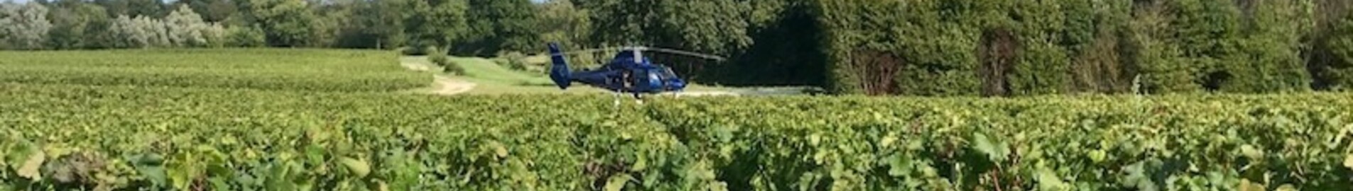 Discovery of vineyards by helicopter