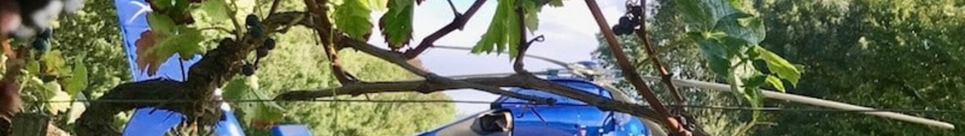 Gastronomic escapades by helicopter