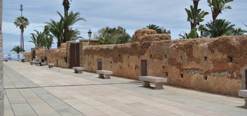 Mur historique avec palmiers à Rabat