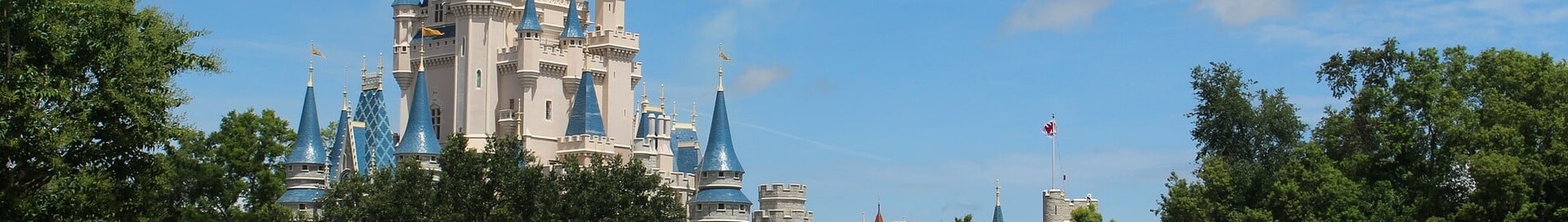 Private jet charter to Orlando