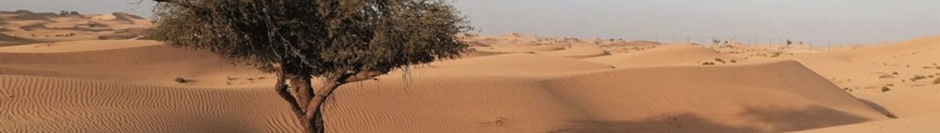 Private jet hire in Abu Dhabi Airport