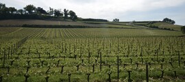 Private jet charter and helicopter to Mont De Marsan Ab