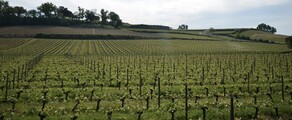 Private jet hire and helicopter in Bordeaux Merignac