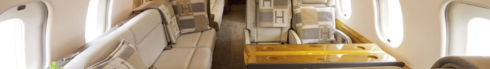 Céline Dion’s €33 million private jet: everything you need to know