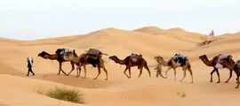 Private jet and helicopter charter in Tunis Carthage
