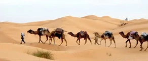 Private jet hire in Tunis