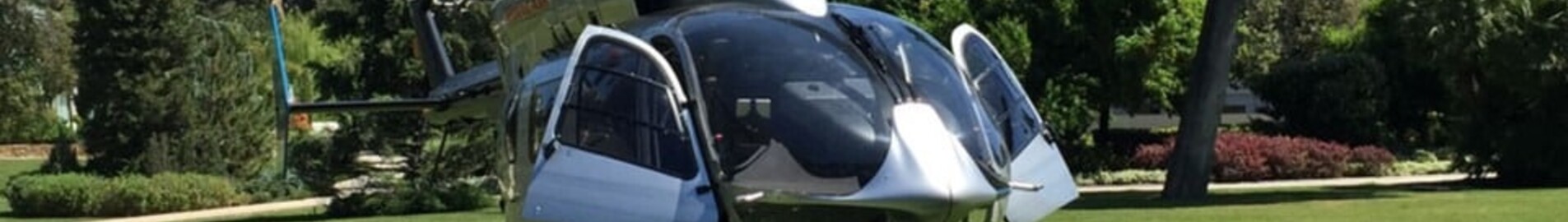 Beauval Zoo by helicopter