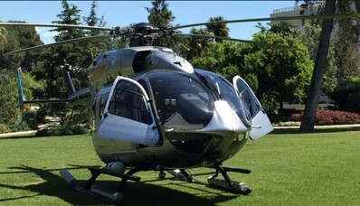 Beauval Zoo by helicopter