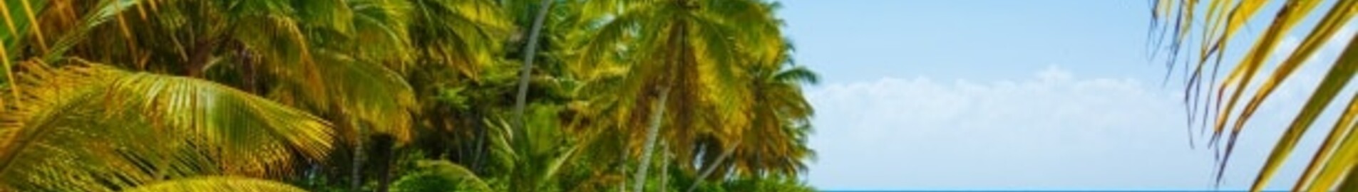 Book a jet in The Caribbean By Private Plane or helicopter