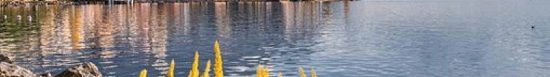 Hamburg - Geneva : private jet rental