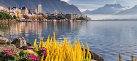 Geneva - Palma de Mallorca : private jet rental 