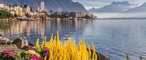 Hamburg - Geneva : private jet rental