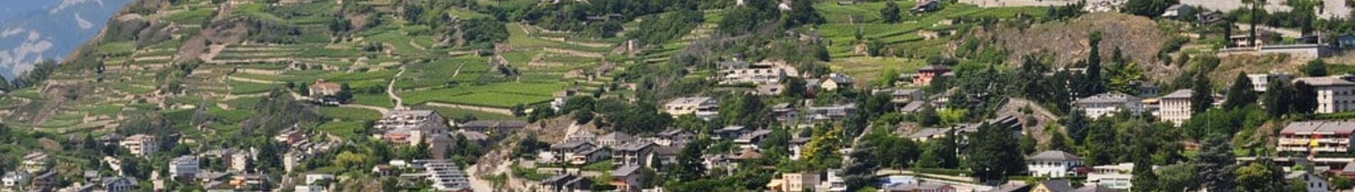 Sion : private jet rental 