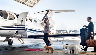 Travelling in a private jet with your dog 
