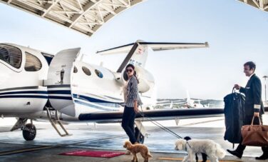chien et jet privé location au décollage, sur la piste