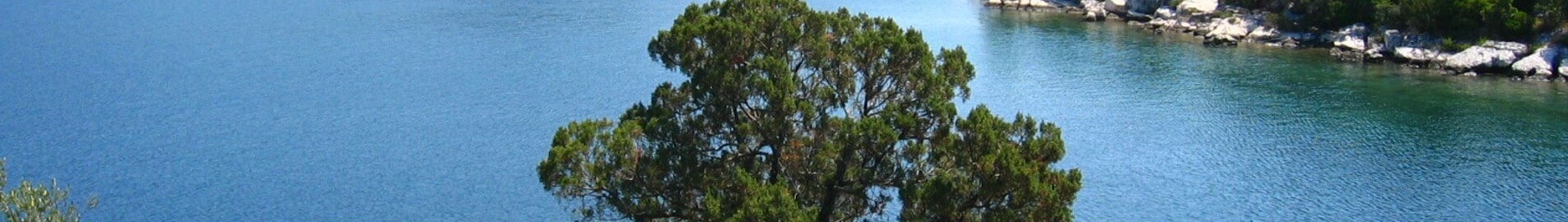 Private jet and helicopter hire in Mljet