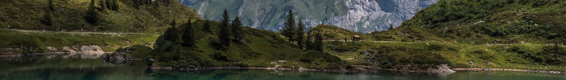 Private jet and helicopter hire in Alpnach