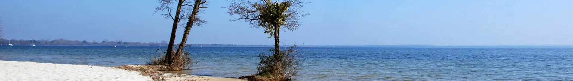 Private jet charter and helicopter at Cazaux Air Base