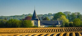 Private jet and helicopter rental in Zutendaal