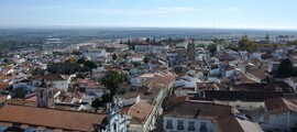 Flores (Corvo): private jet charter