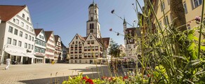 Private plane and helicopter rental in Biberach An Der Riss