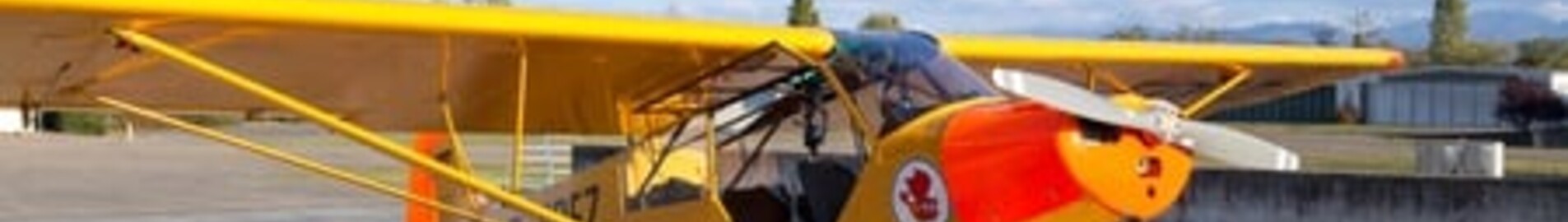 Bremgarten: Private jet and helicopter rental