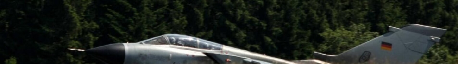 Buchel: Private plane and helicopter charter