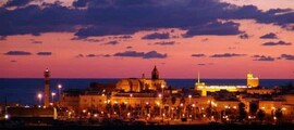 Private Plane and Helicopter Charter in Toledo Ocana