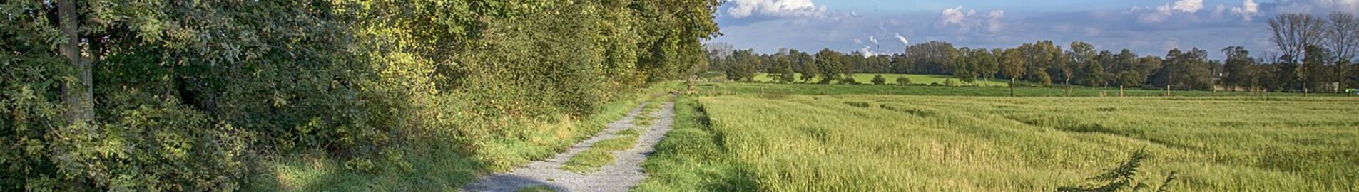 Dinslaken Schwarze Heide: Private jet and helicopter rental