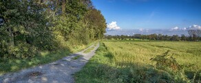 Dinslaken Schwarze Heide: Private jet and helicopter rental