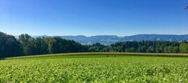 St. Gallen Altenrhein: private jet rental 