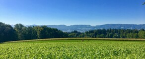Private jet and helicopter hire in Dubendorf