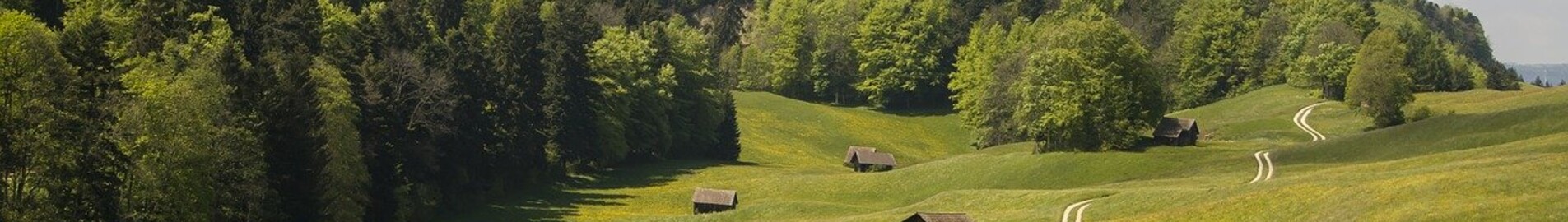 Private jet and helicopter hire in Grenchen