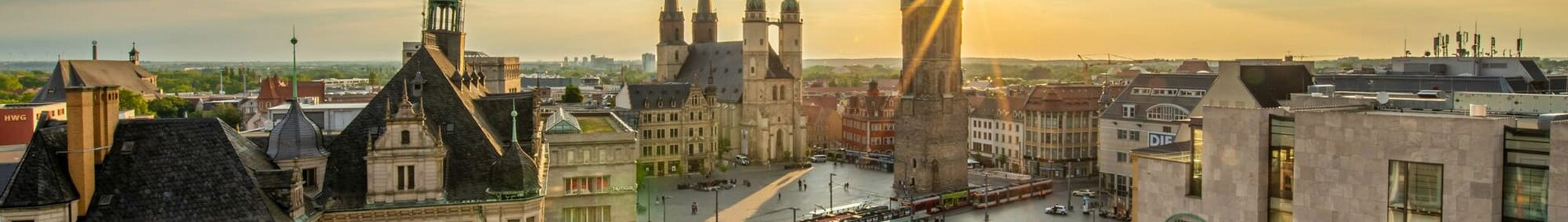 Halle Oppin: Private plane and helicopter rental