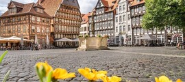 Private jet and helicopter rental in Neuburg