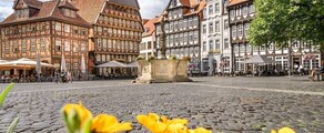 Hildesheim: private jet and helicopter hire