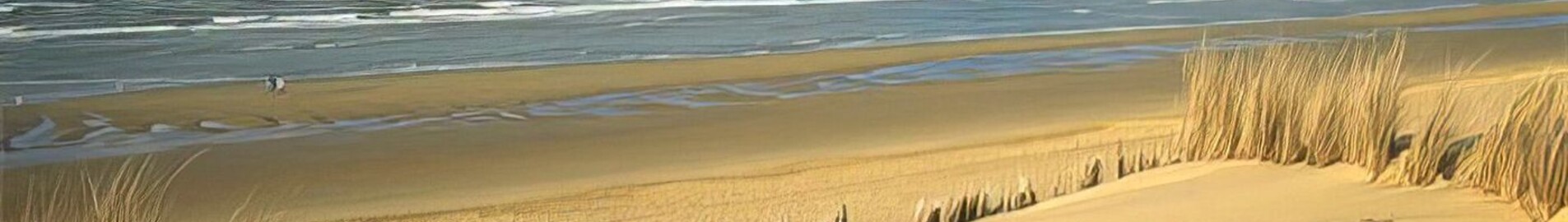 Private jet and helicopter rental in Koksijde