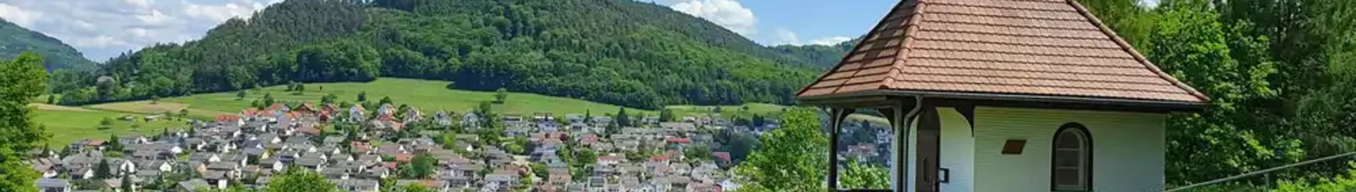 Lahr Black Forest: Private Jet and Helicopter Charter