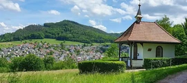 Eggenfelden: Private jet and helicopter rental