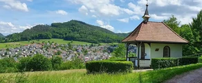 Lahr Black Forest: Private Jet and Helicopter Charter