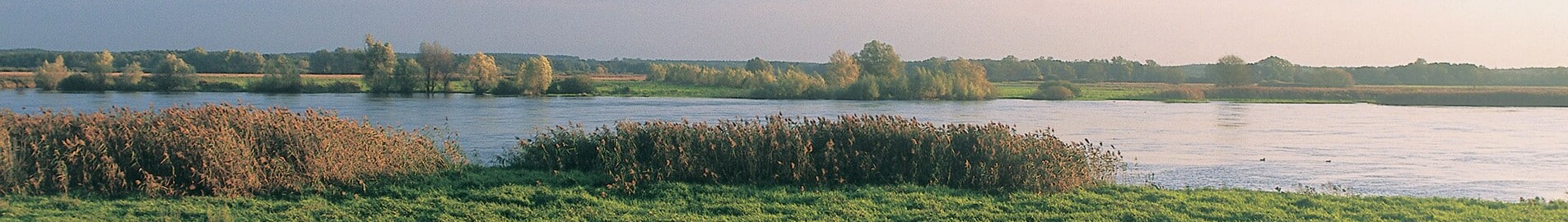 Private jet and helicopter charter in Neuhardenberg Wriezen