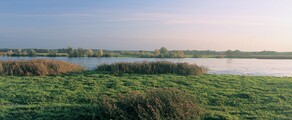 Private jet and helicopter charter in Neuhardenberg Wriezen