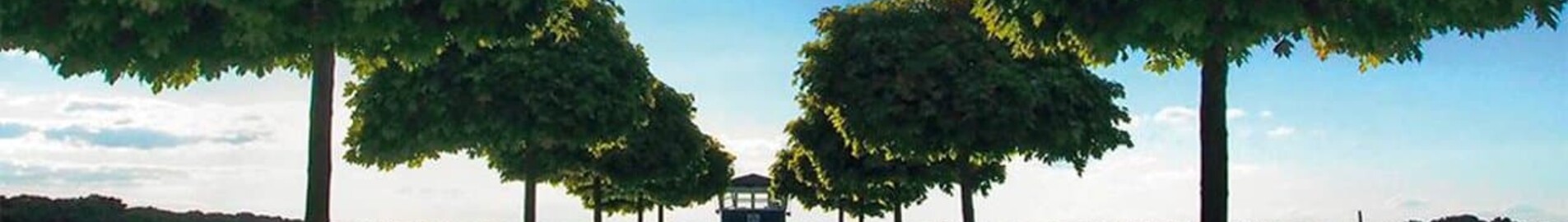 Private plane and helicopter rental in Neustadt Glewe