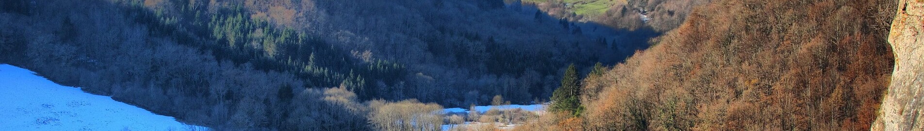 Payerne : private jet rental