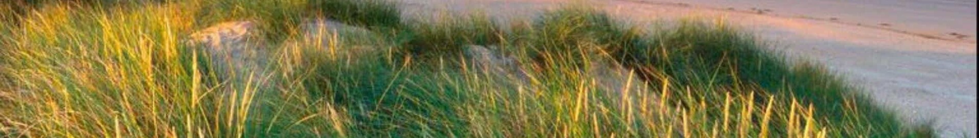 Private plane and helicopter rental in Pembrey