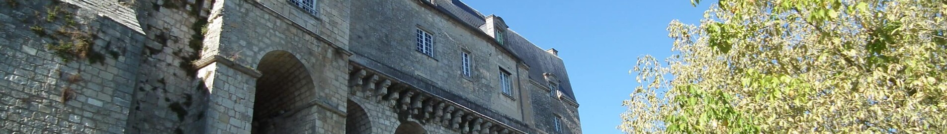 Private plane and helicopter rental in Pons Avy