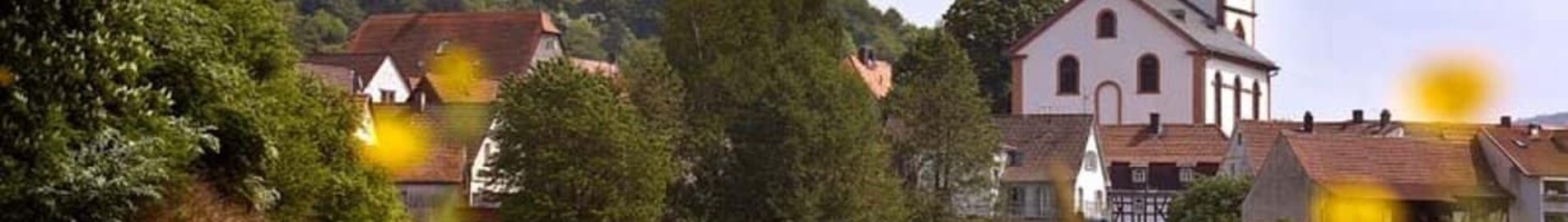 Private jet and helicopter charter in Reichelsheim